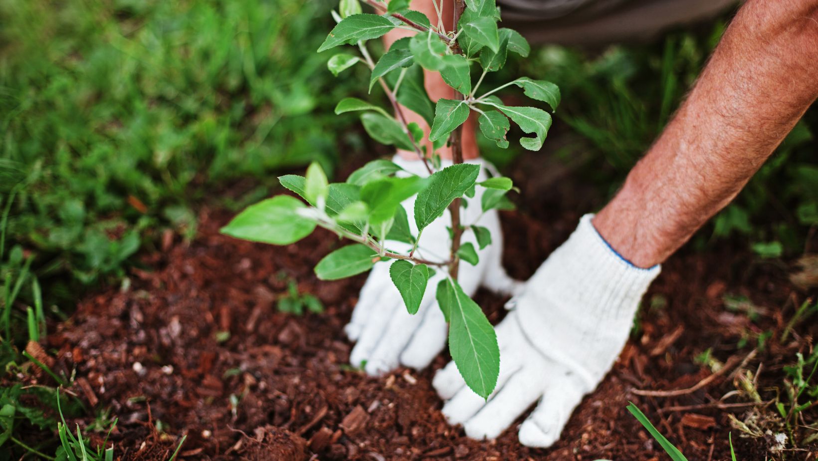 cool gardening gifts